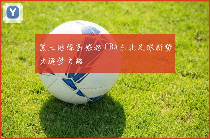 黑土地绿茵崛起 CBA东北足球新势力逐梦之路