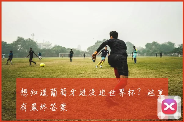 想知道葡萄牙进没进世界杯？这里有最终答案