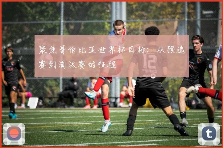 聚焦哥伦比亚世界杯目标：从预选赛到淘汰赛的征程