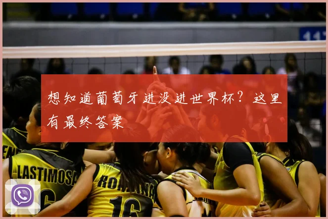 想知道葡萄牙进没进世界杯？这里有最终答案